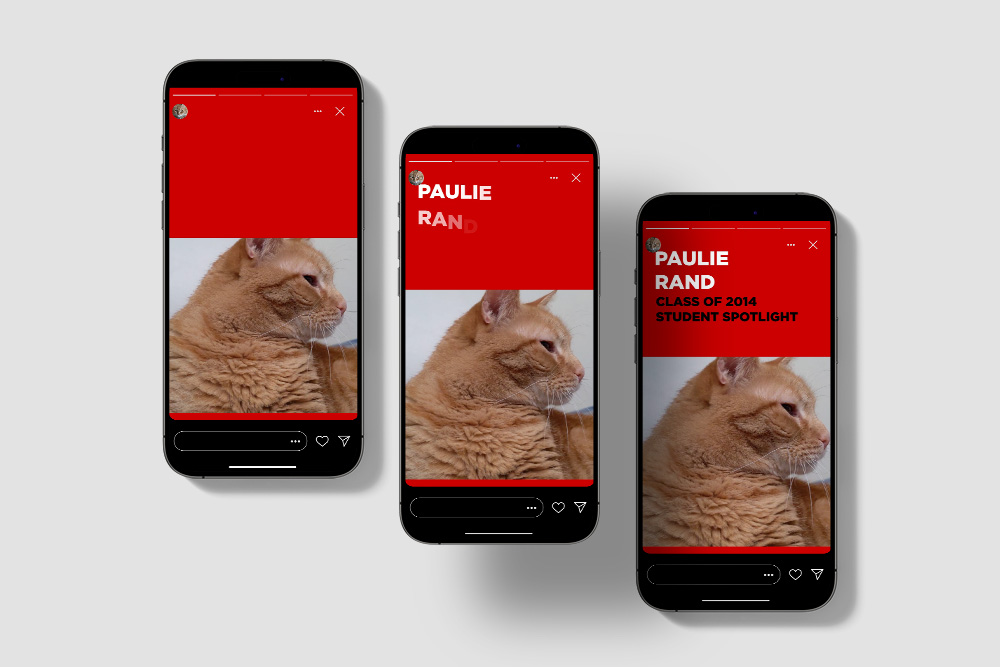 Demo of the student spotlight motion graphic. A black screen opens to a red background with a photo of an orange tabby appearing. The text, "Paulie Rand Class of 2014 Student Spotlight" then pop-ups above the image.