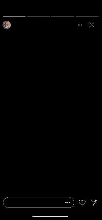 Demo of the student spotlight motion graphic. A black screen opens to a red background with a photo of an orange tabby appearing. The text, "Paulie Rand Class of 2014 Student Spotlight" then pop-ups above the image.